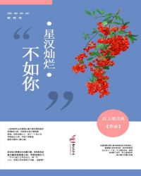 星汉灿烂程少商